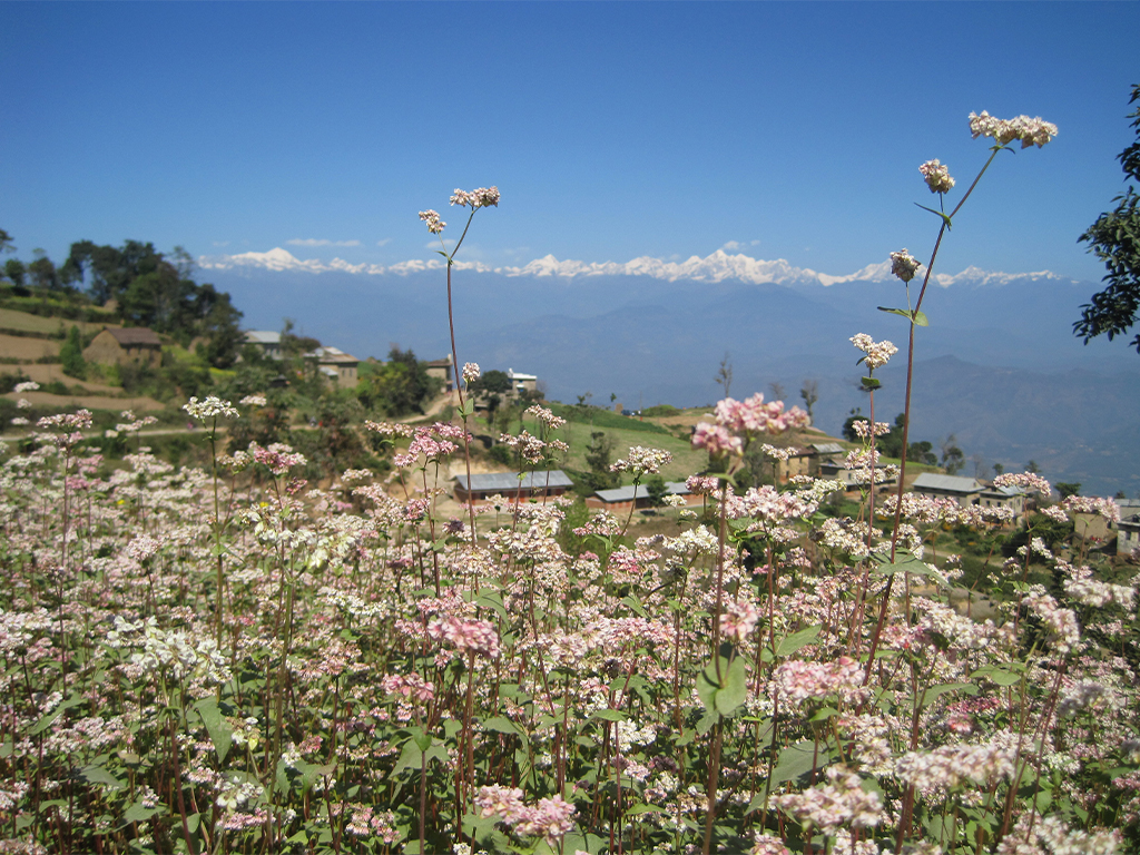 Recorrido Katmandú-Nagarkot-Dhulikhel